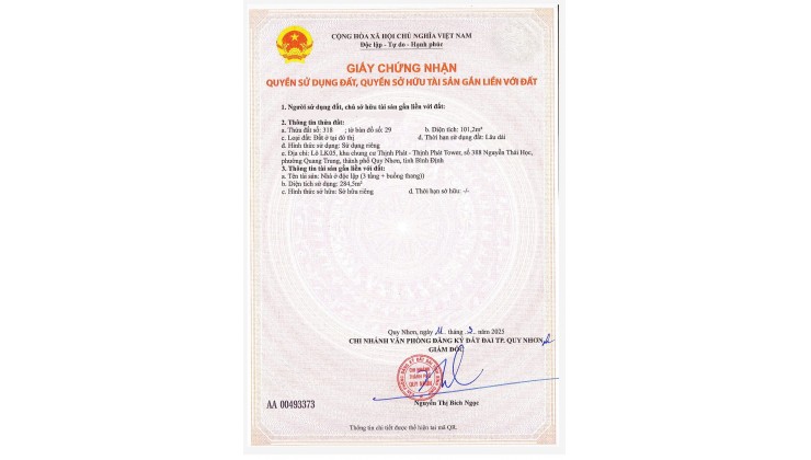 Bán nhà phố 3 tầng đường Thanh Niên, thành phố Quy Nhơn giá 9 tỷ 250 triệu